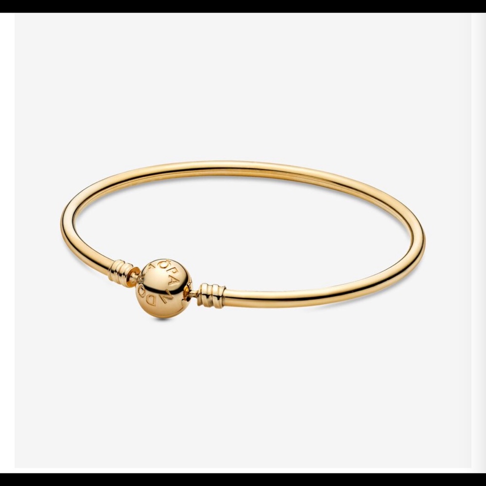 Pandora Moments Bangle